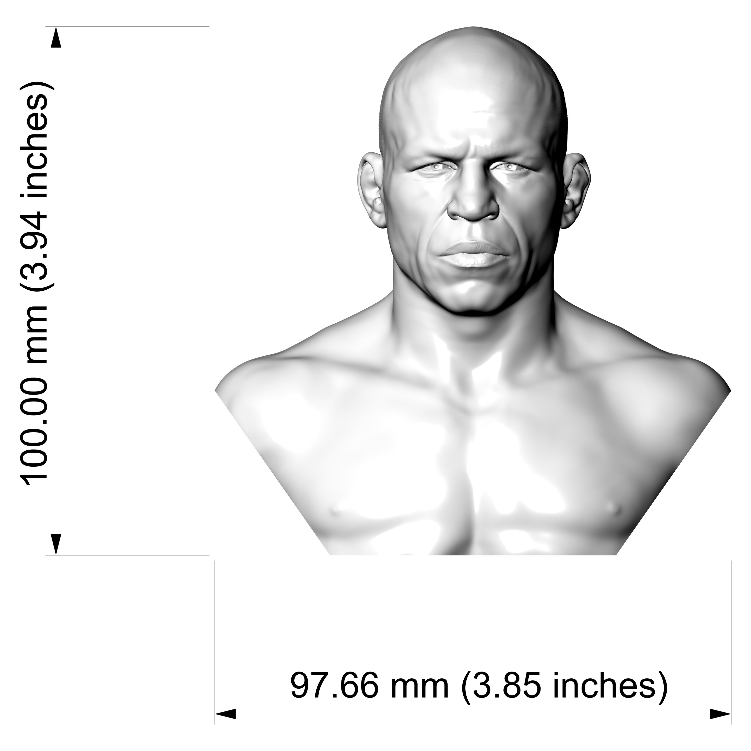 Wanderlei Silva 3D Printable Bust 3D Model