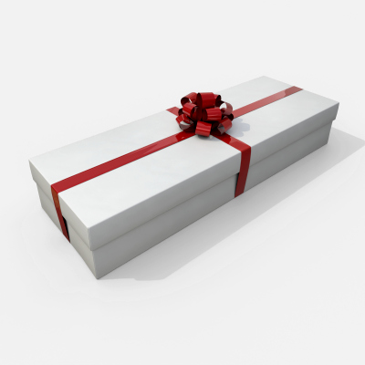 Gift Box - Long Rectangular with Tied Ribbon Rosette