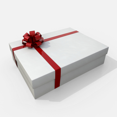 Gift Box - Wide Rectangular with Tied Ribbon Rosette