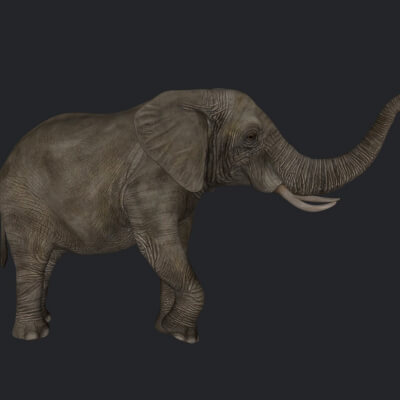 African Elephant Sculpture 3D Print Model