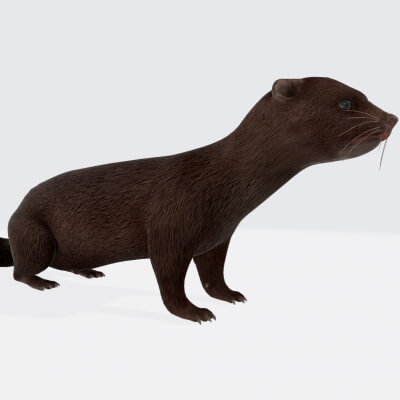 American Mink Figure 3D Printable Model