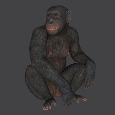 Ape Sculpture 3D Print Model