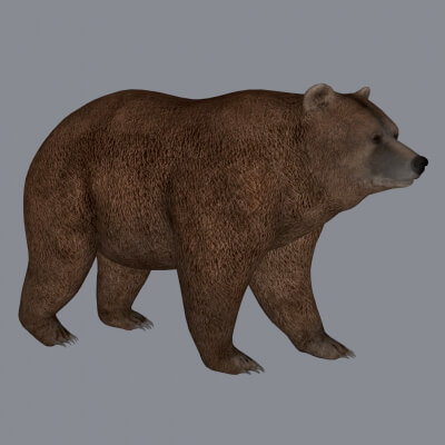 Brown Bear Sculpture 3D Print Model