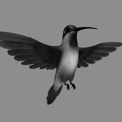 Flying Hummingbird Figure 3D Printable Model