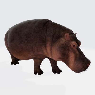 Hippopotamus Figure 3D Printable Model