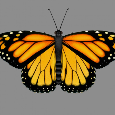 Monarch Butterfly Sculpture 3D Printable Model