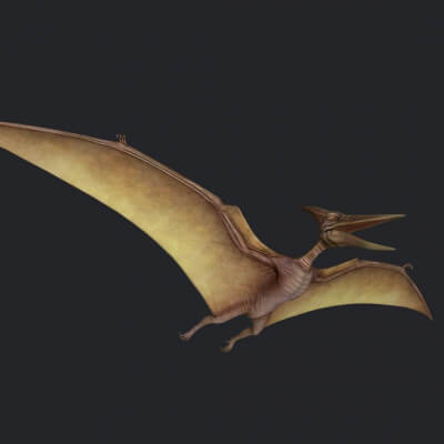 Pterodactyl Dinosaur 3D Print Model