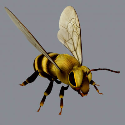 Realistic Honeybee Sculpture 3D Print Model