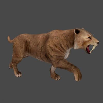 Realistic Saber-Toothed Tiger Sculpture 3D Print Model