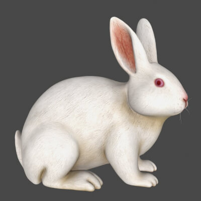 Realistic White Rabbit Sculpture 3D Print Model