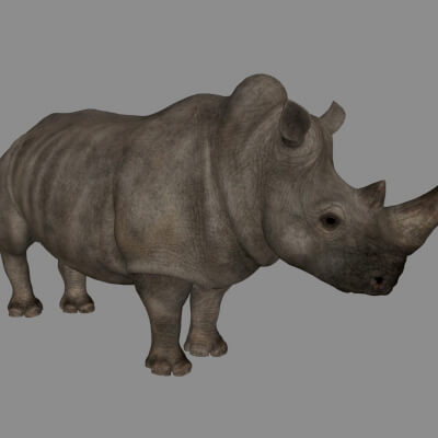 Rhino Sculpture 3D Printable Model