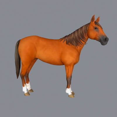 Stallion Horse Sculpture 3D Print Model