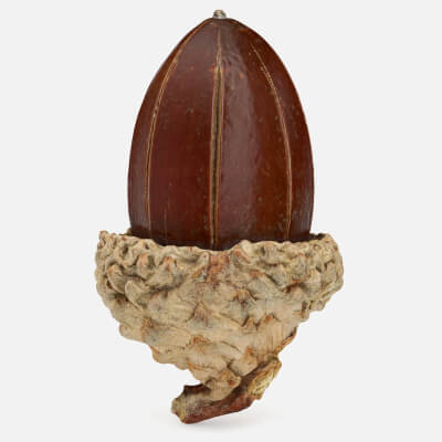 Acorn 02 Scan