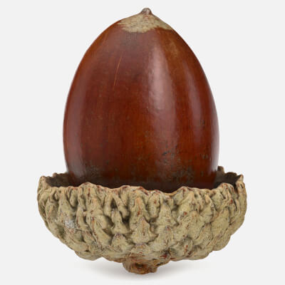 Acorn 03 Scan
