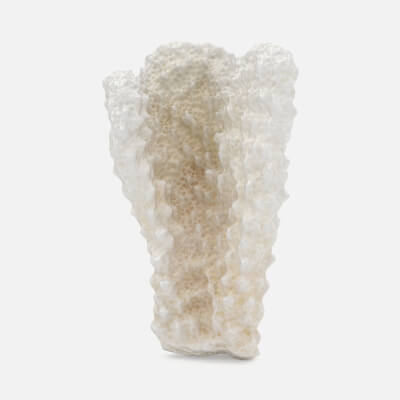 Acropora Florida 02