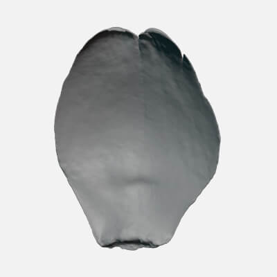 Artichoke Leaf 02 - For 3D Print