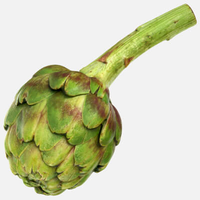 Artichoke with Stem