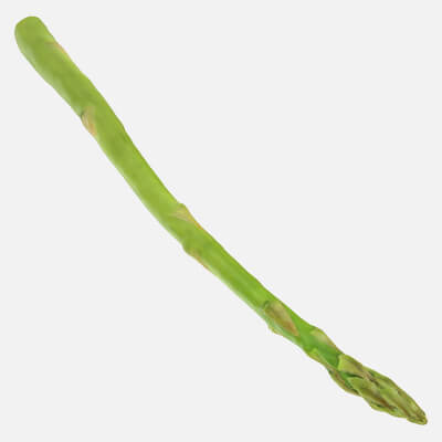 Asparagus 02 - 3D Scanned