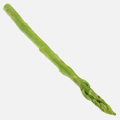 Asparagus 01 - 3D Scanned