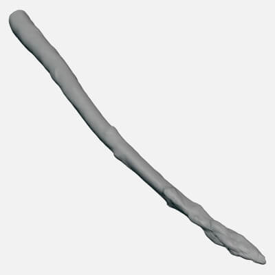 Asparagus 02 - For 3D Print
