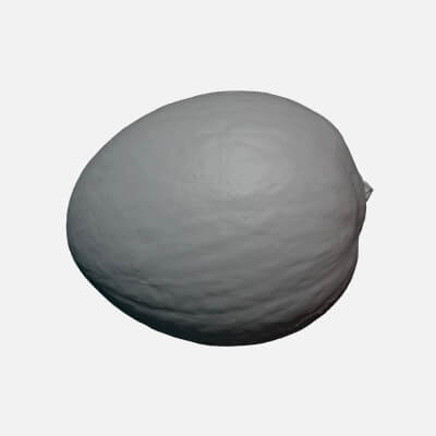 Avocado Seed - For 3D Print