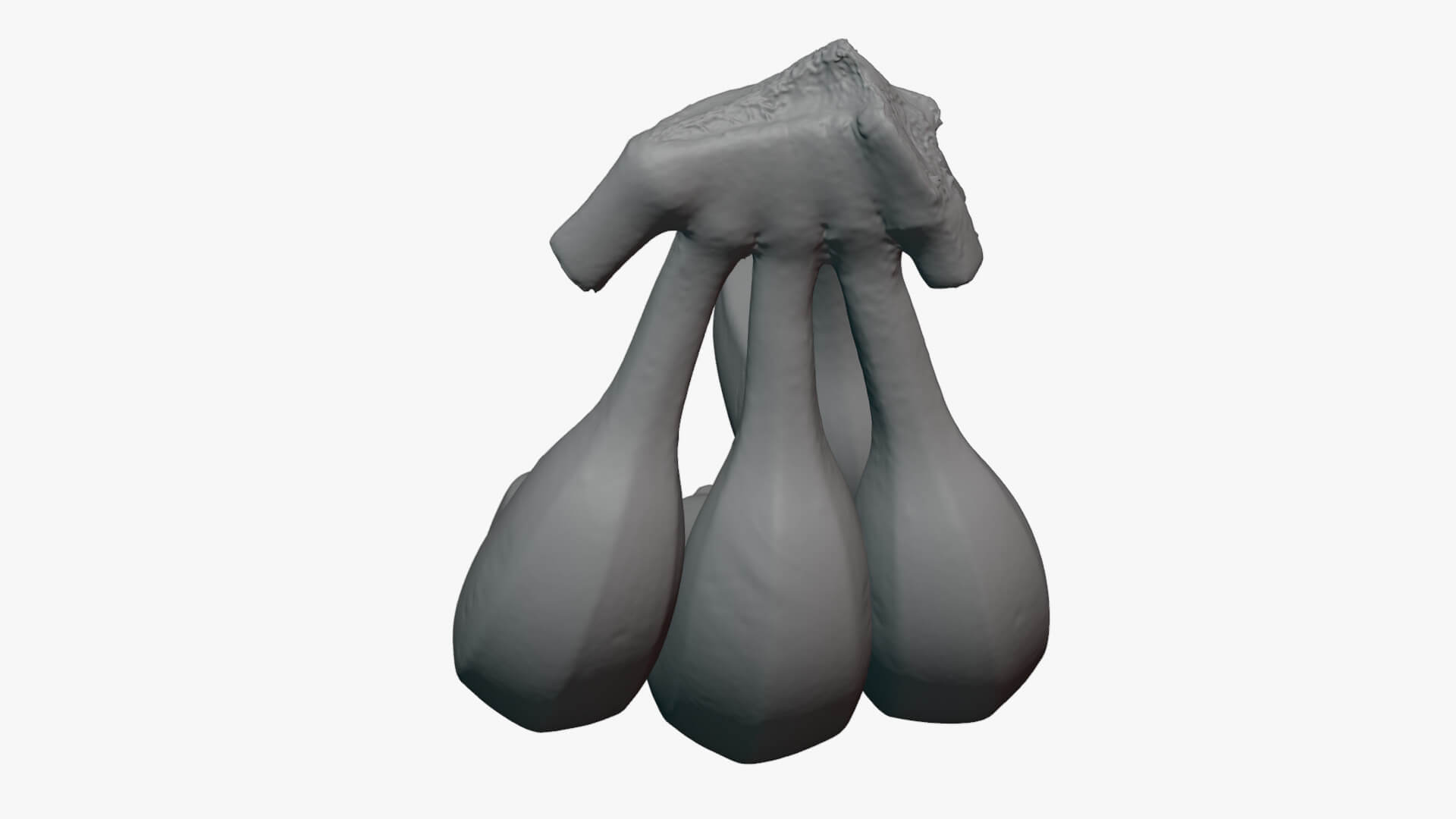 Banana Stem with Remaining Bananas - For 3D Print 3D Model