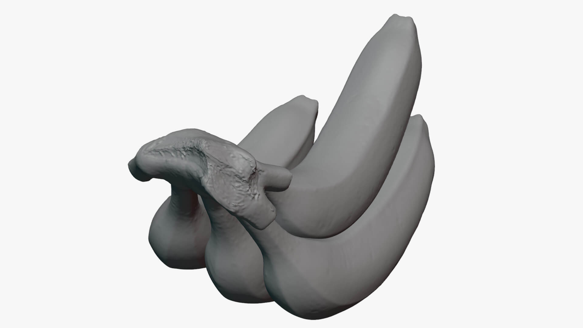 Banana Stem with Remaining Bananas - For 3D Print 3D Model