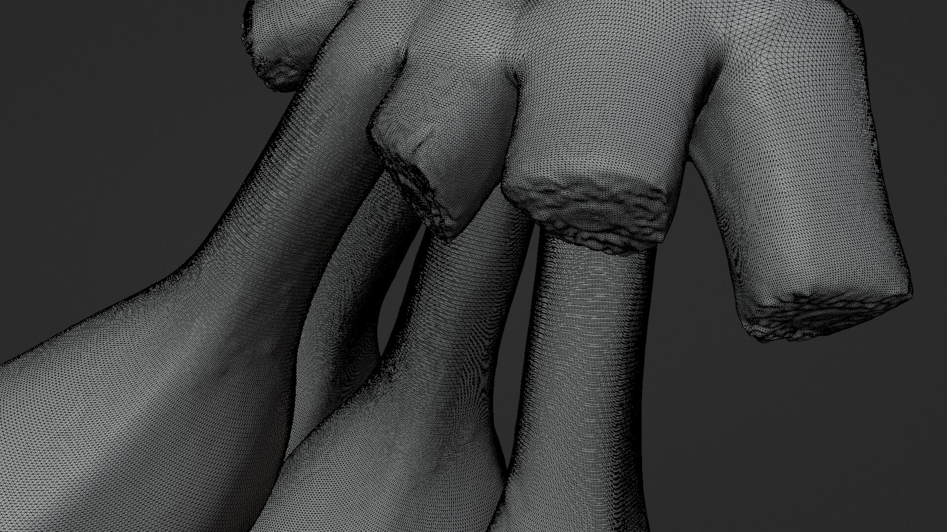 Banana Stem with Remaining Bananas - For 3D Print 3D Model