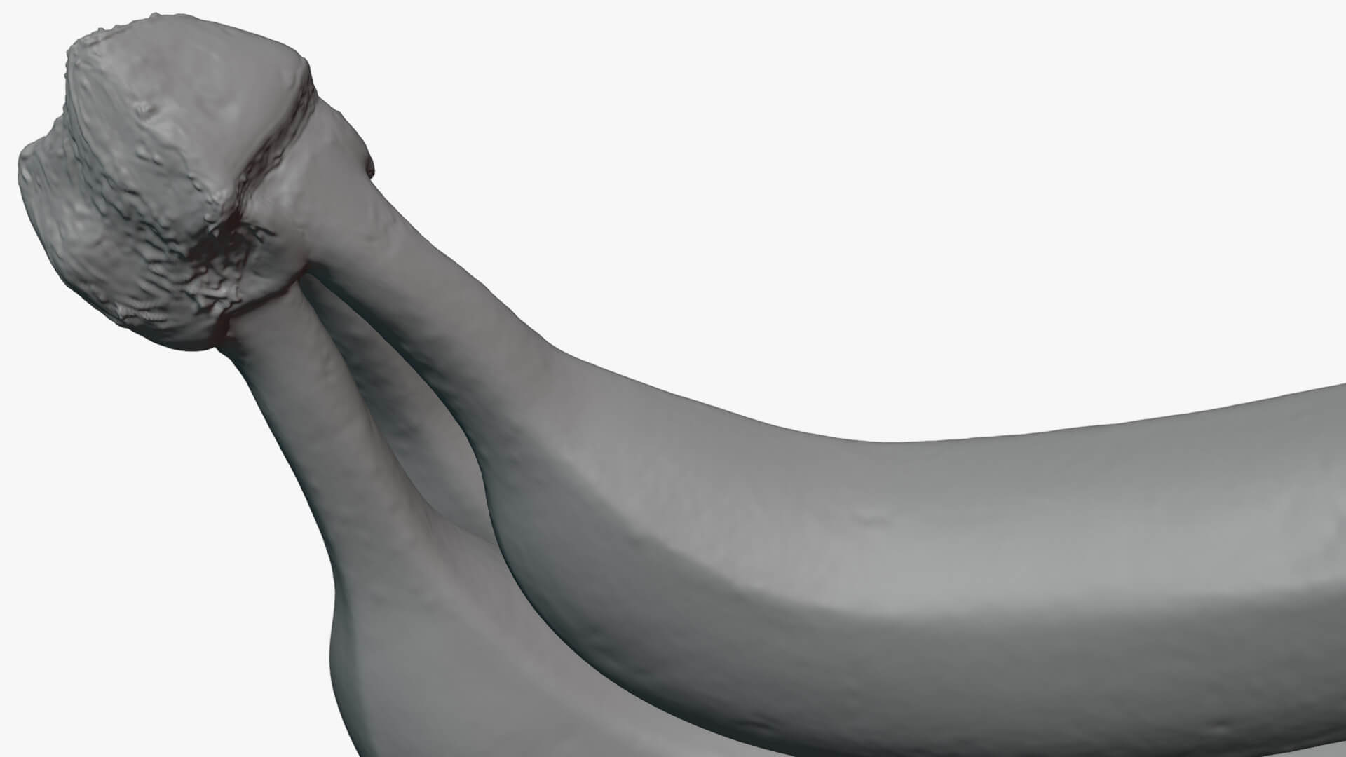 Banana Trio Bunch - For 3D Print 3D Model