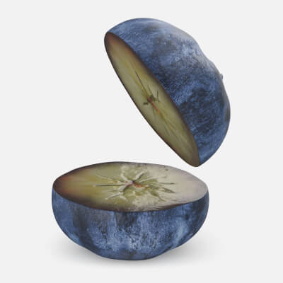 Blueberry 01 Cut Half