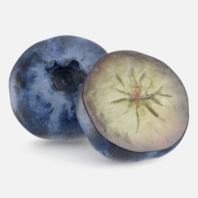 Blueberry 01 Whole Half