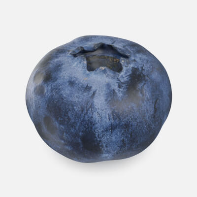 Blueberry 01