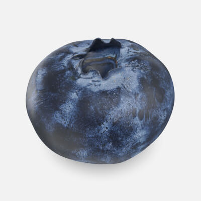 Blueberry 02