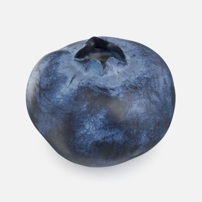 Blueberry 03
