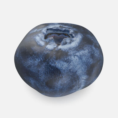 Blueberry 04