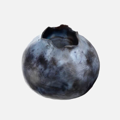 Blueberry - Photo Scan