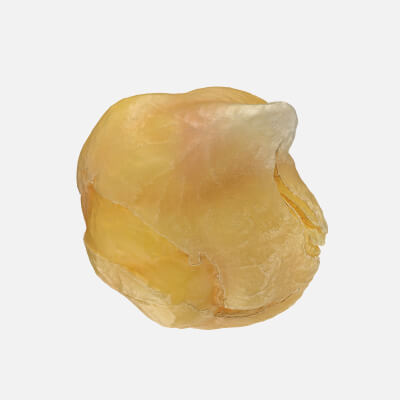 Boiled Chickpea 01 - 3D Scanned