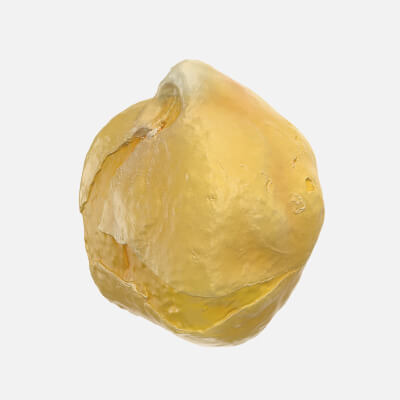 Boiled Chickpea 03 - 3D Scanned