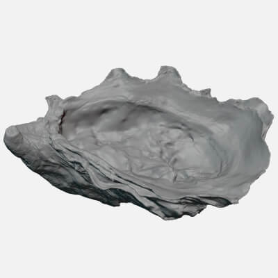 Bottom Half Oyster 02 - For 3D Print
