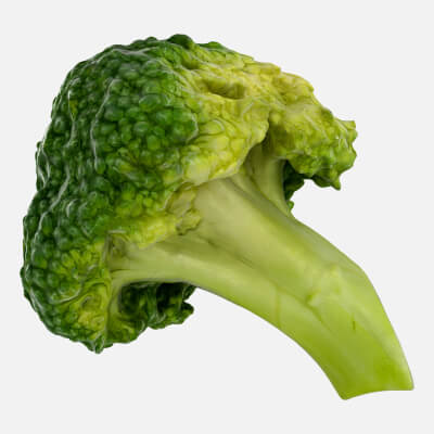 Broccoli Florets 02