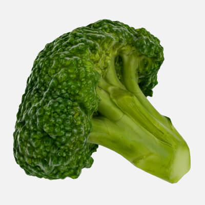 Broccoli Florets 03
