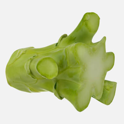 Broccoli Stem