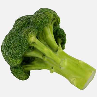 Realistic Broccoli