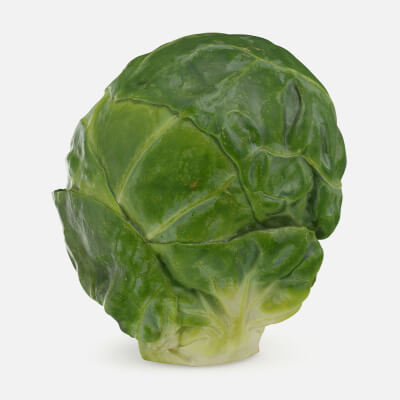Brussels Sprout 02