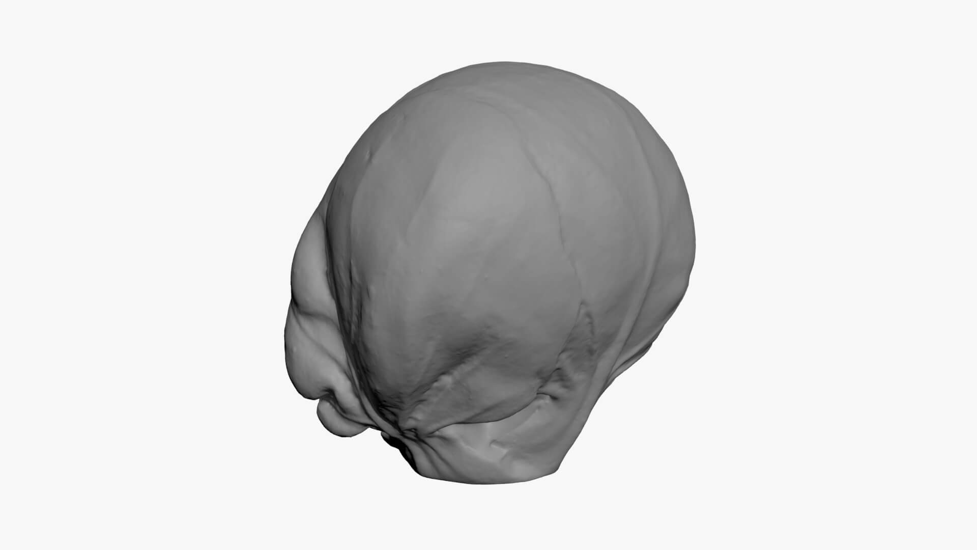 Brussels Sprout 03 - For 3D Print 3D Model