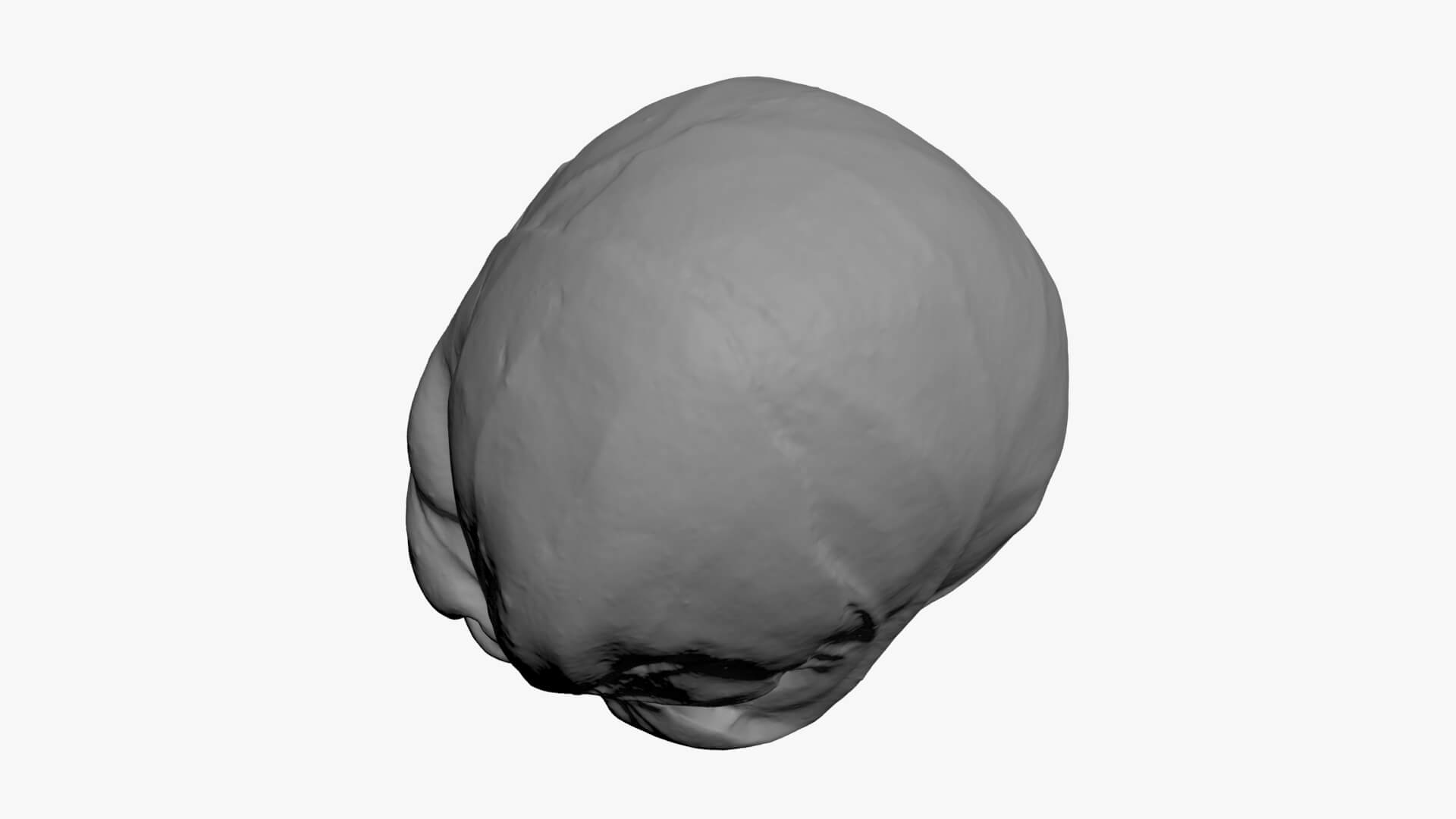 Brussels Sprout 03 - For 3D Print 3D Model