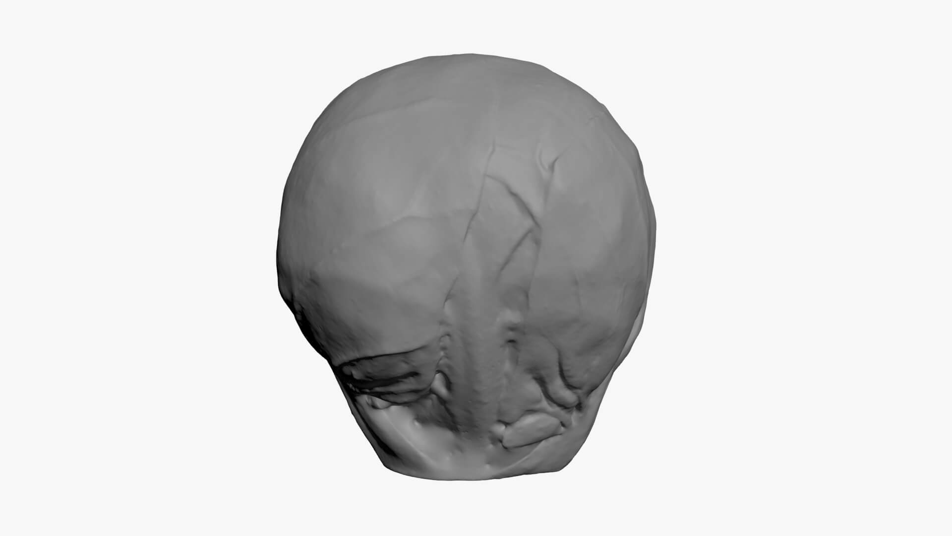 Brussels Sprout 03 - For 3D Print 3D Model