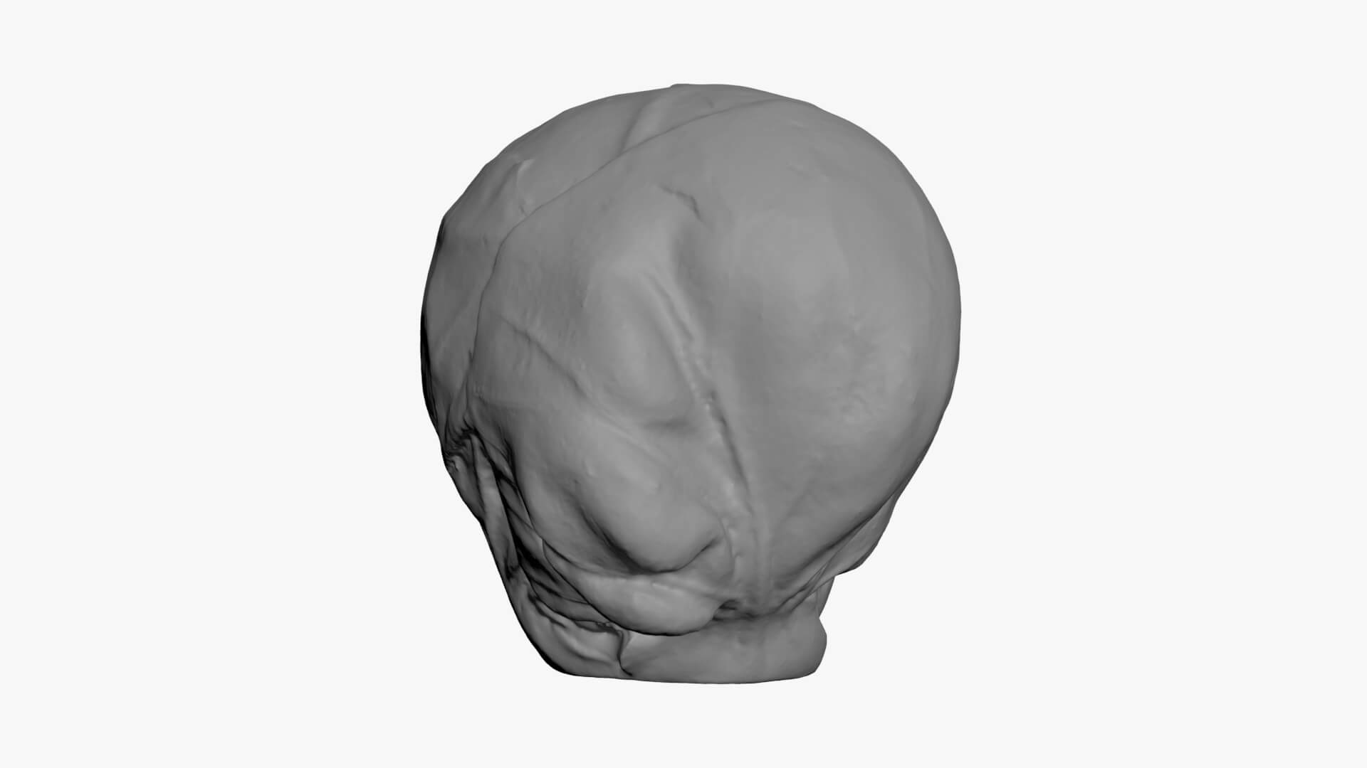 Brussels Sprout 03 - For 3D Print 3D Model