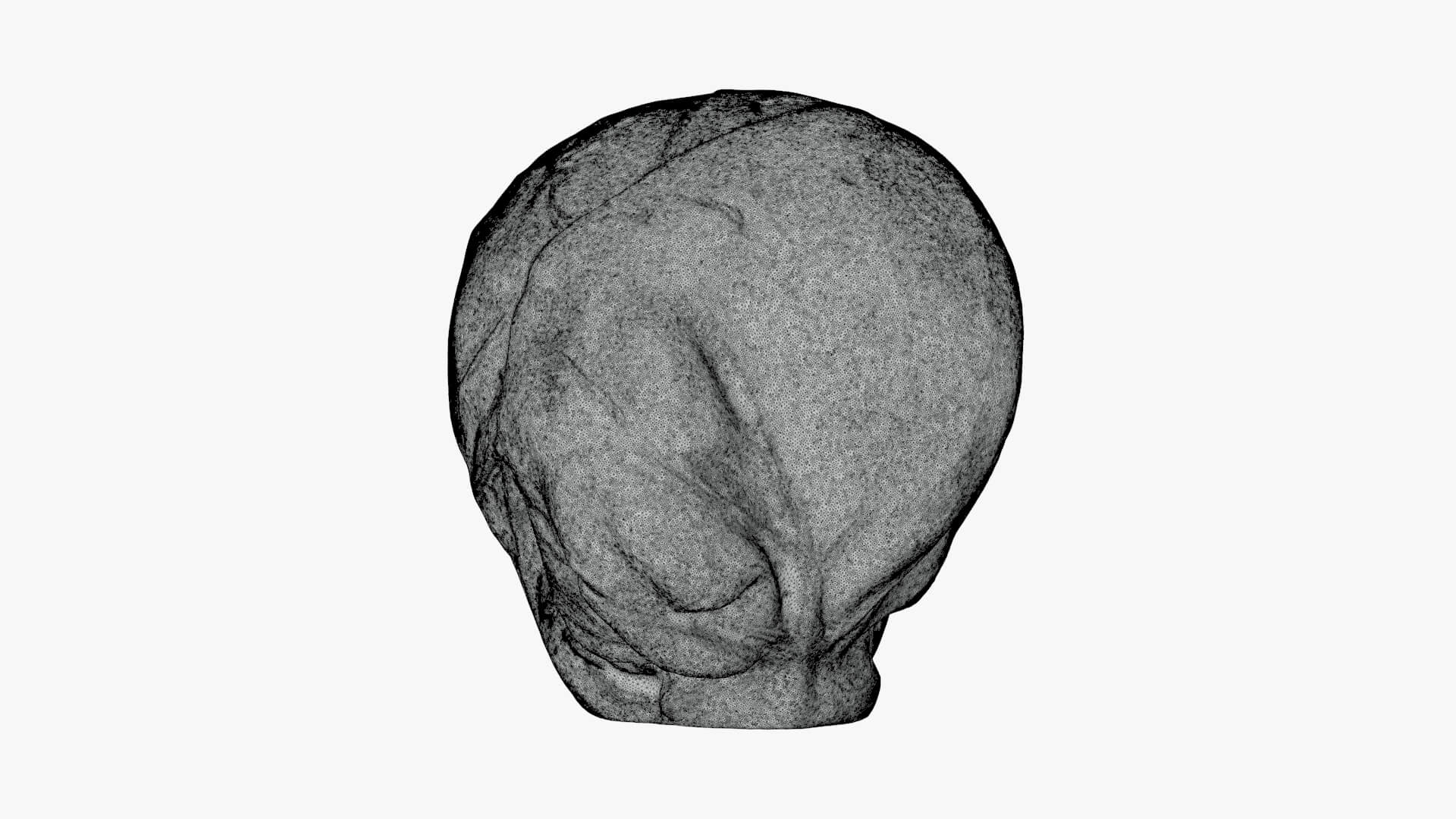 Brussels Sprout 03 - For 3D Print 3D Model