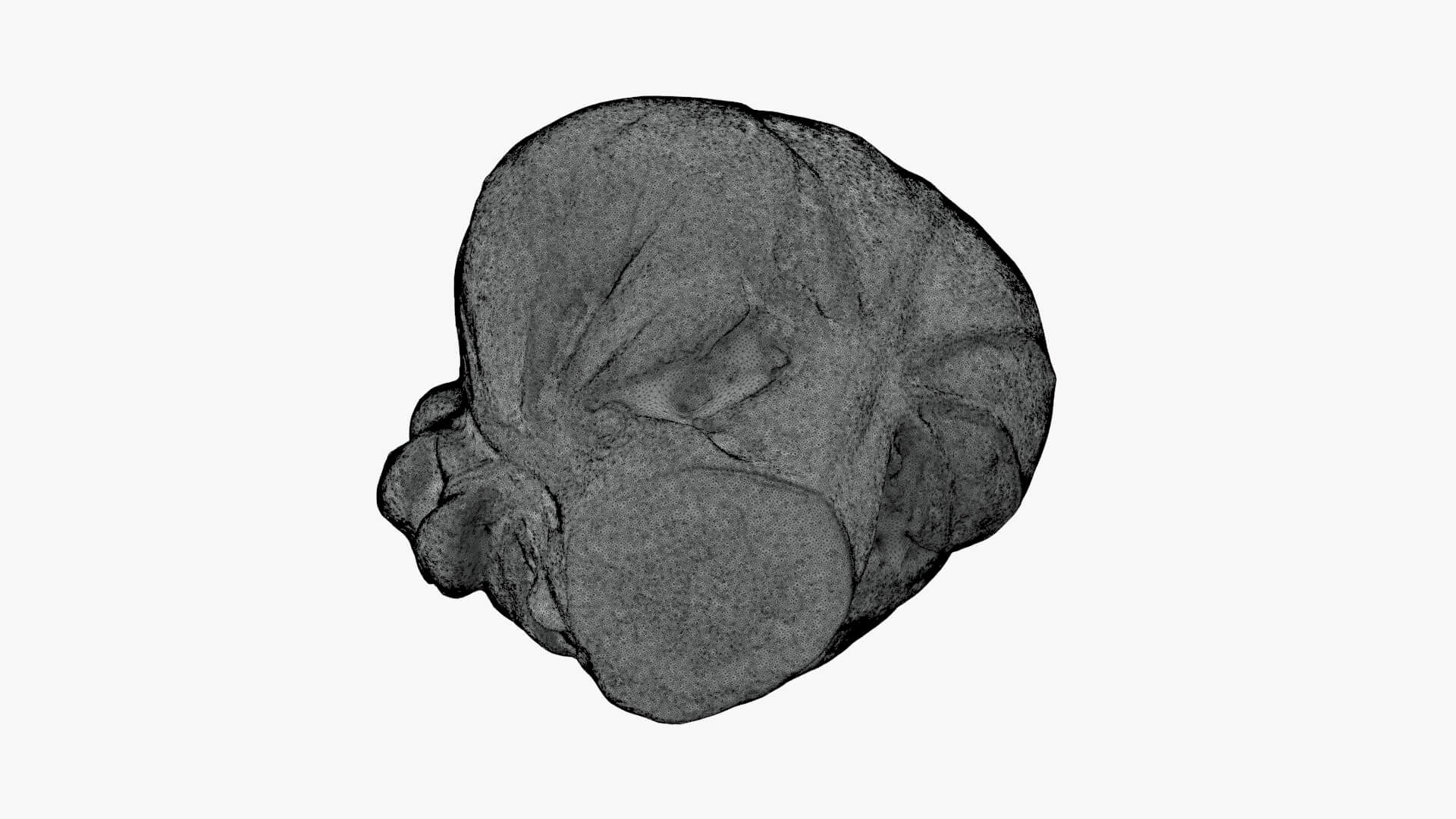 Brussels Sprout 03 - For 3D Print 3D Model